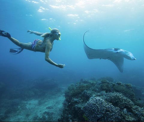 Actividades snorkel Bali