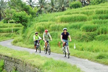 Campos de arroz de Bali, en bici