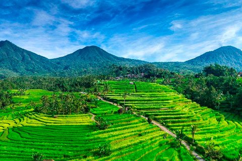 Mejores sitios que visitar Bali
