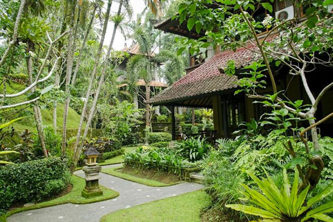 Cosas para visitar en Ubud Cosas para visitar en Ubud