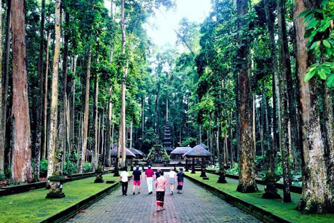 Lugares alternativos que visitar Ubud Lugares alternativos que visitar Ubud