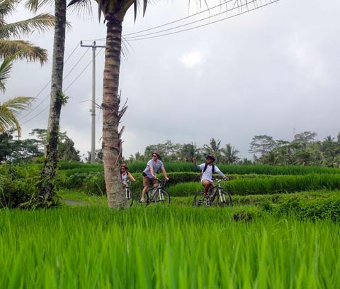 Que hacer en Bali, actividades Que hacer en Bali, actividades