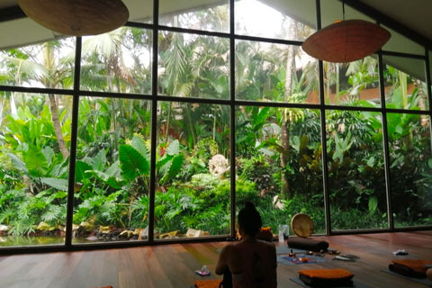 Visitar Ubud y alrededores Visitar Ubud y alrededores